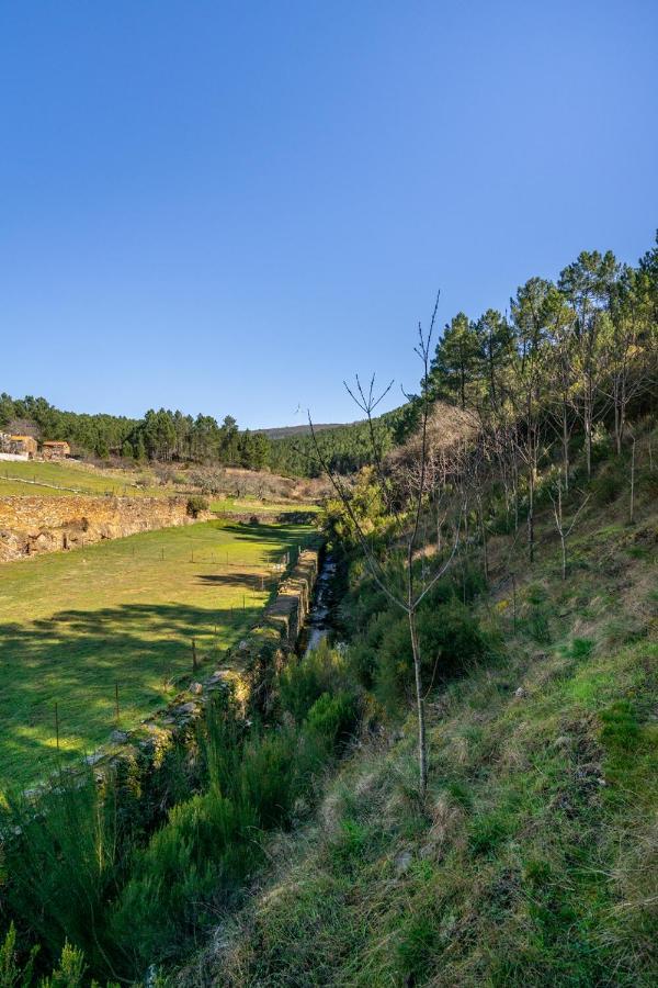 Aradas, Pampilhosa Da Serra, Casa Da Oliveira, Wifi, Ar Condicionado, Churrasqueira, Parqueamento, By Ig Villa Unhais-o-Velho Luaran gambar